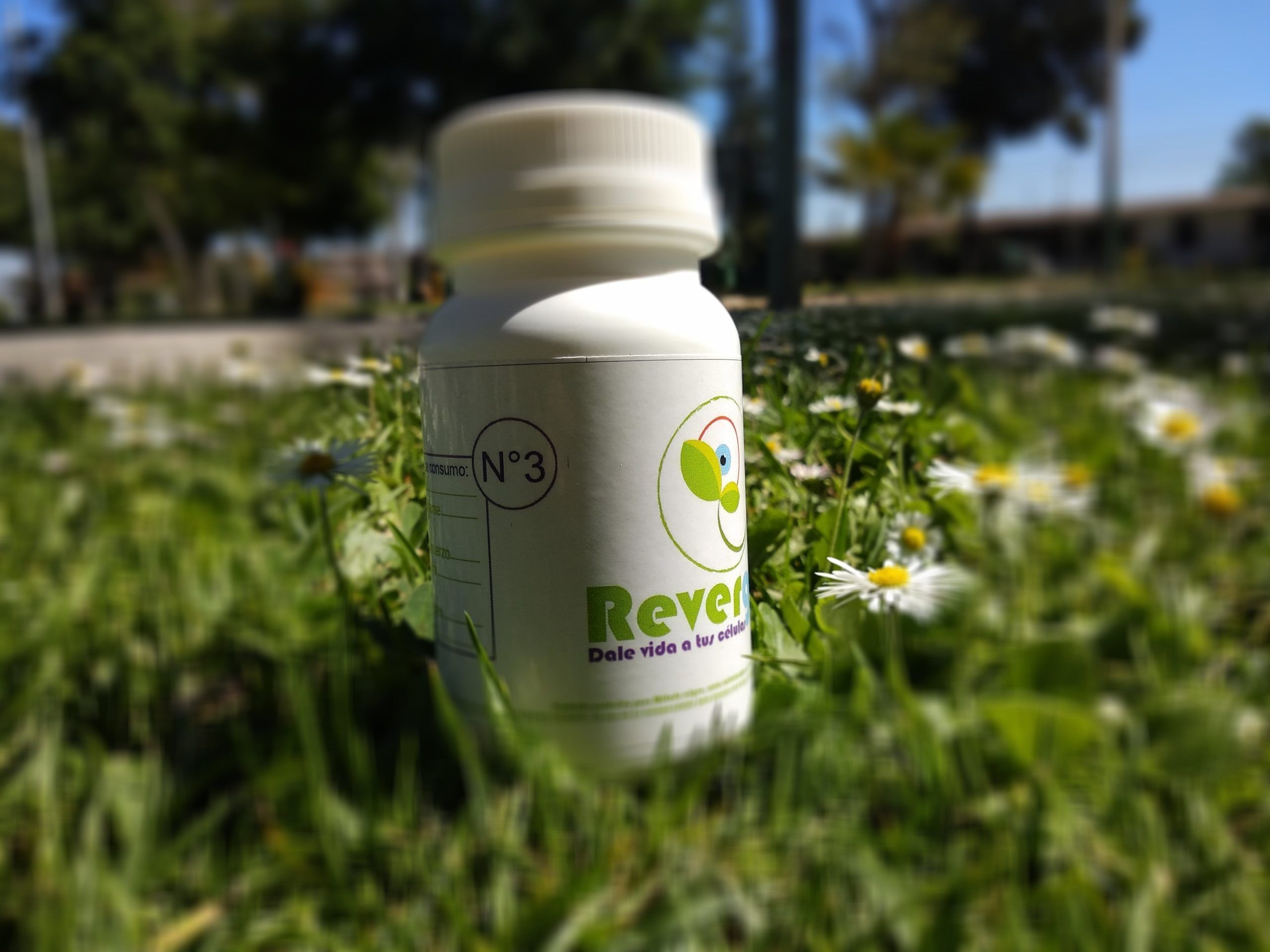 Activa tu digestión con revergen